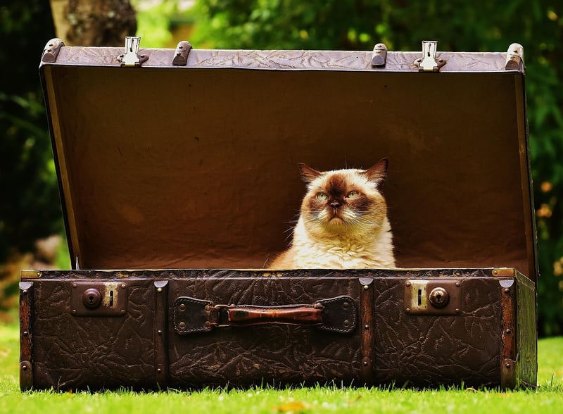 Packing for a Trip